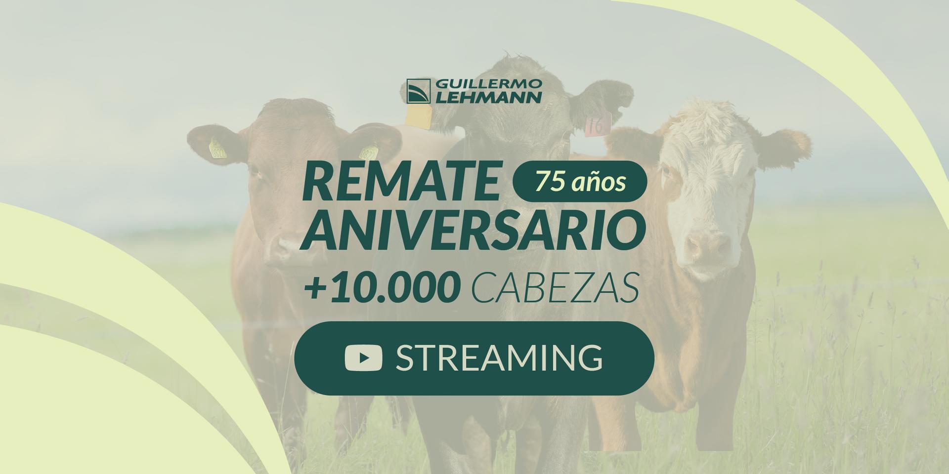 Remate 75 aniversario Miniatura
