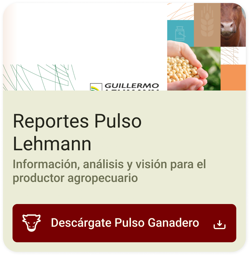 Banner Pulso Lehmann Mobile