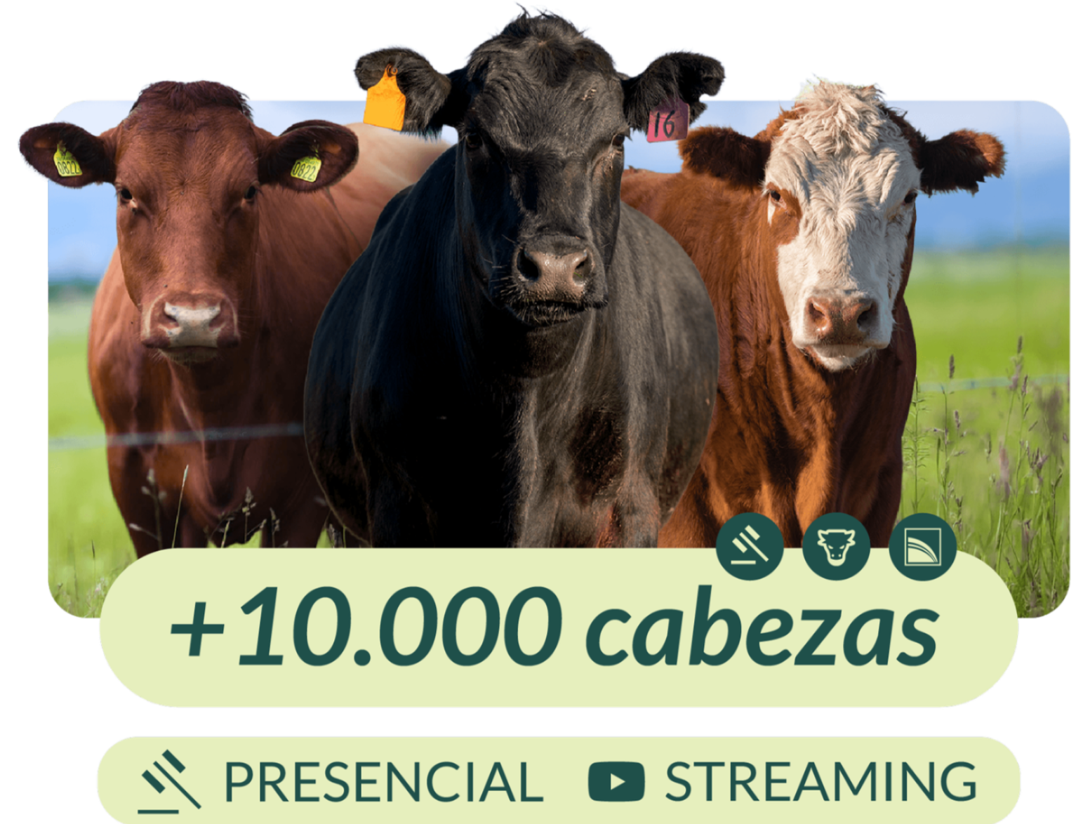 Remate 75 aniversario Header